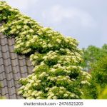 BB直播视频精彩纷呈,互动娱乐新体验 dp3631d3