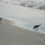 BA直播全新上线,精彩赛事不容错过! m6al296288