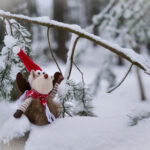 《东方直播室》全集精彩回顾与深度解析 894dvzn