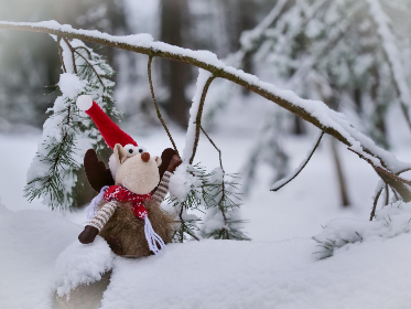 《东方直播室》全集精彩回顾与深度解析 《东方直播室》全集精彩回顾与深度解析