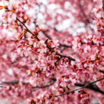 《一战到底》巅峰对决直播盛况空前 gr36z