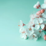 《东方时空》特别直播视频完整版回放 j5xi52wyx