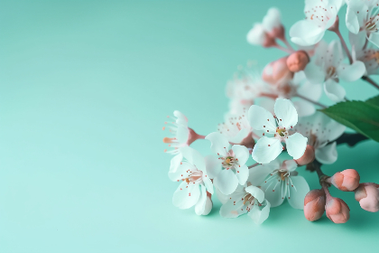 《东方时空》特别直播视频完整版回放 《东方时空》特别直播视频完整版回放